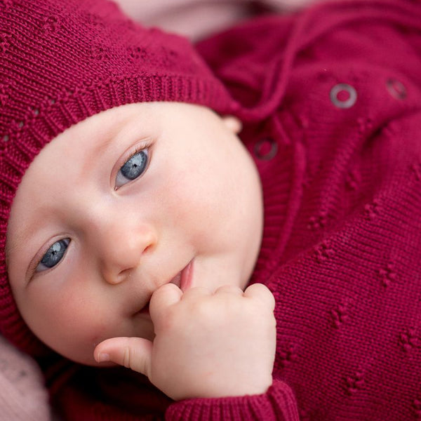 sweter_2117_bawelna_bordo_ander_2