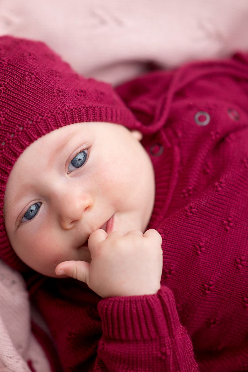 sweter_2117_bawelna_bordo_ander_2